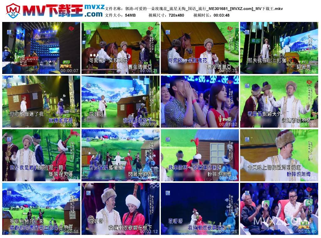 郭涛-可爱的一朵玫瑰花_流星无悔_国语_流行_ME301681